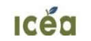 IC&Eacute;A